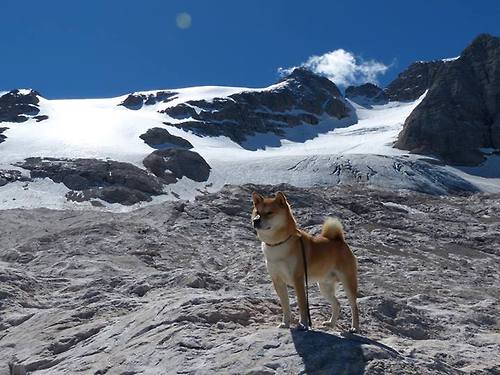 开云·体育官网-意大利男子4x100米自由泳接力队获得铜牌，里约奥运会男子自由泳接力赛
