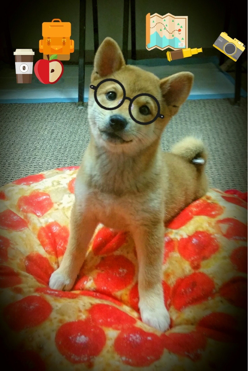 kaiyun体育综合-战术大师：联盟顶尖教练的用人之道分析，战术大师最强训练家笔趣阁